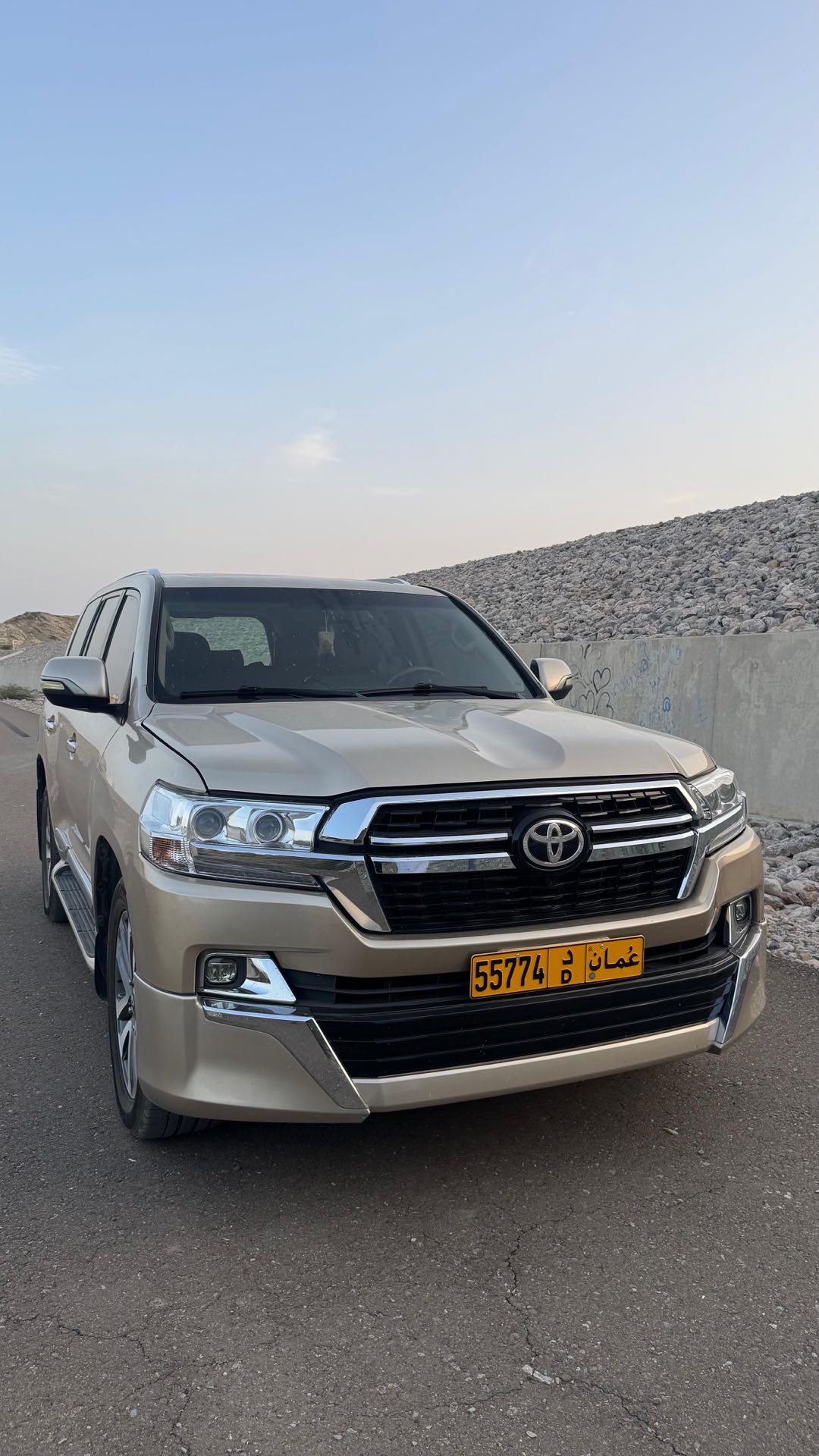 Car Image 2010 TOYOTA LAND CRUISER GX.R
