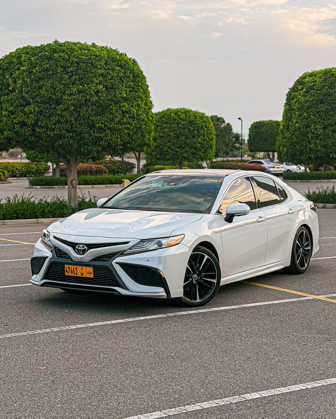 Car Image 2020 TOYOTA CAMRY XSE