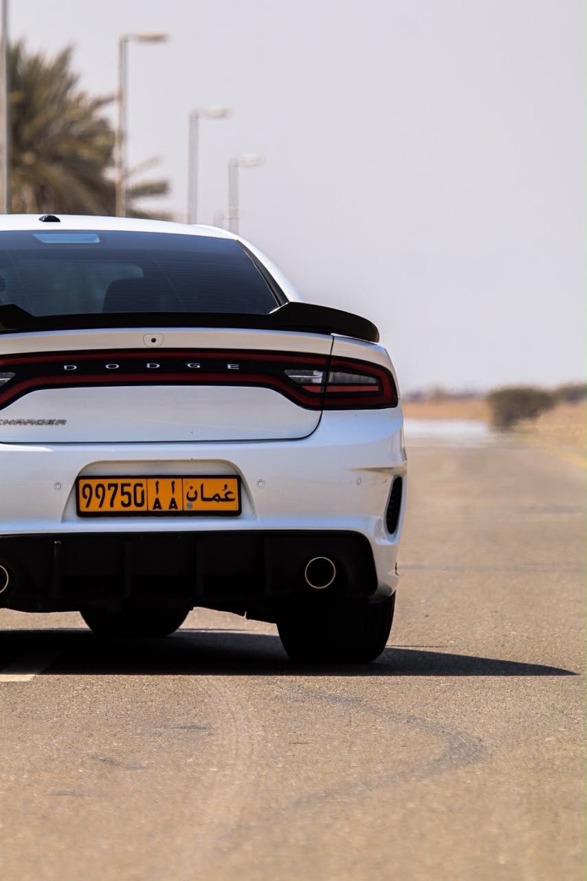 Car Image 2019 DODGE CHARGER SXT