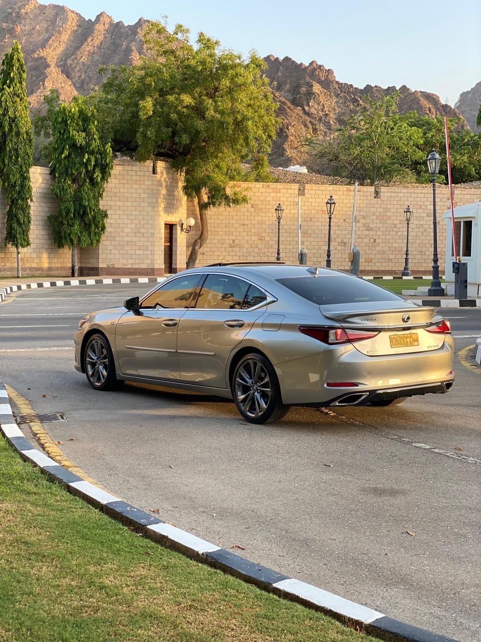 Car Image 2020 LEXUS ES F-sport