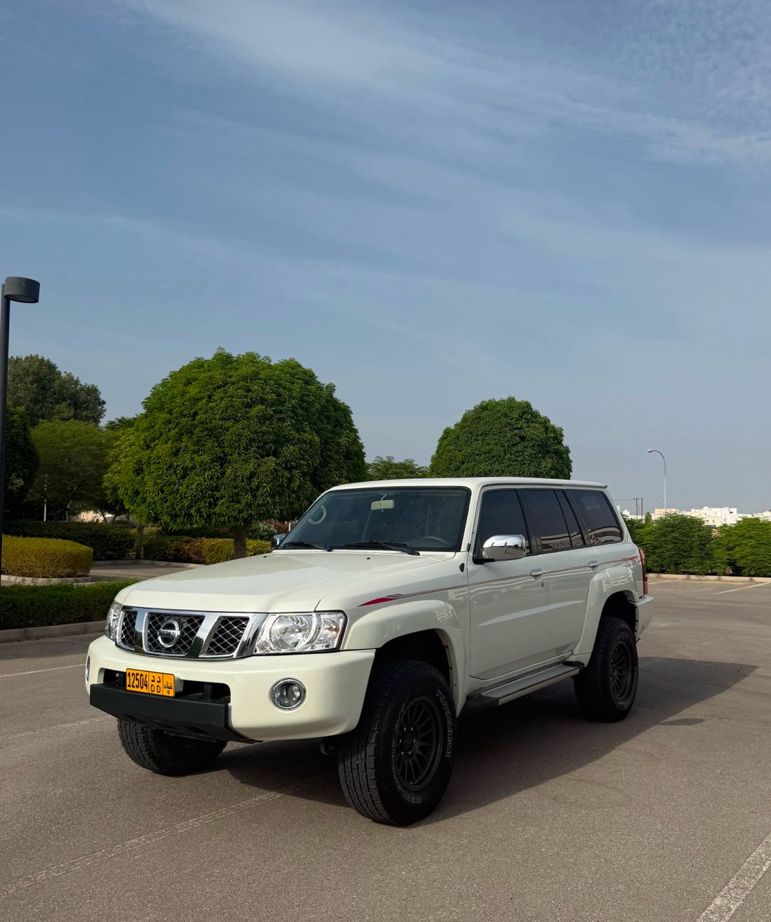 Car Image 2019 NISSAN SAFARI 