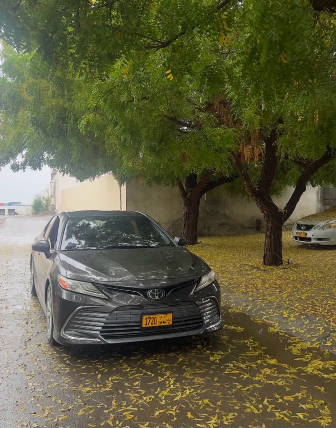Car Image 2019 TOYOTA CAMRY LE