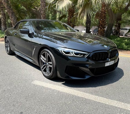 BMW 8 SERIES 2024