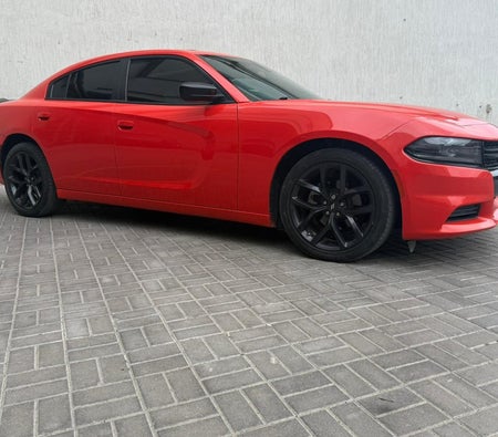 DODGE CHARGER 2023
