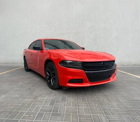 DODGE CHARGER 2023