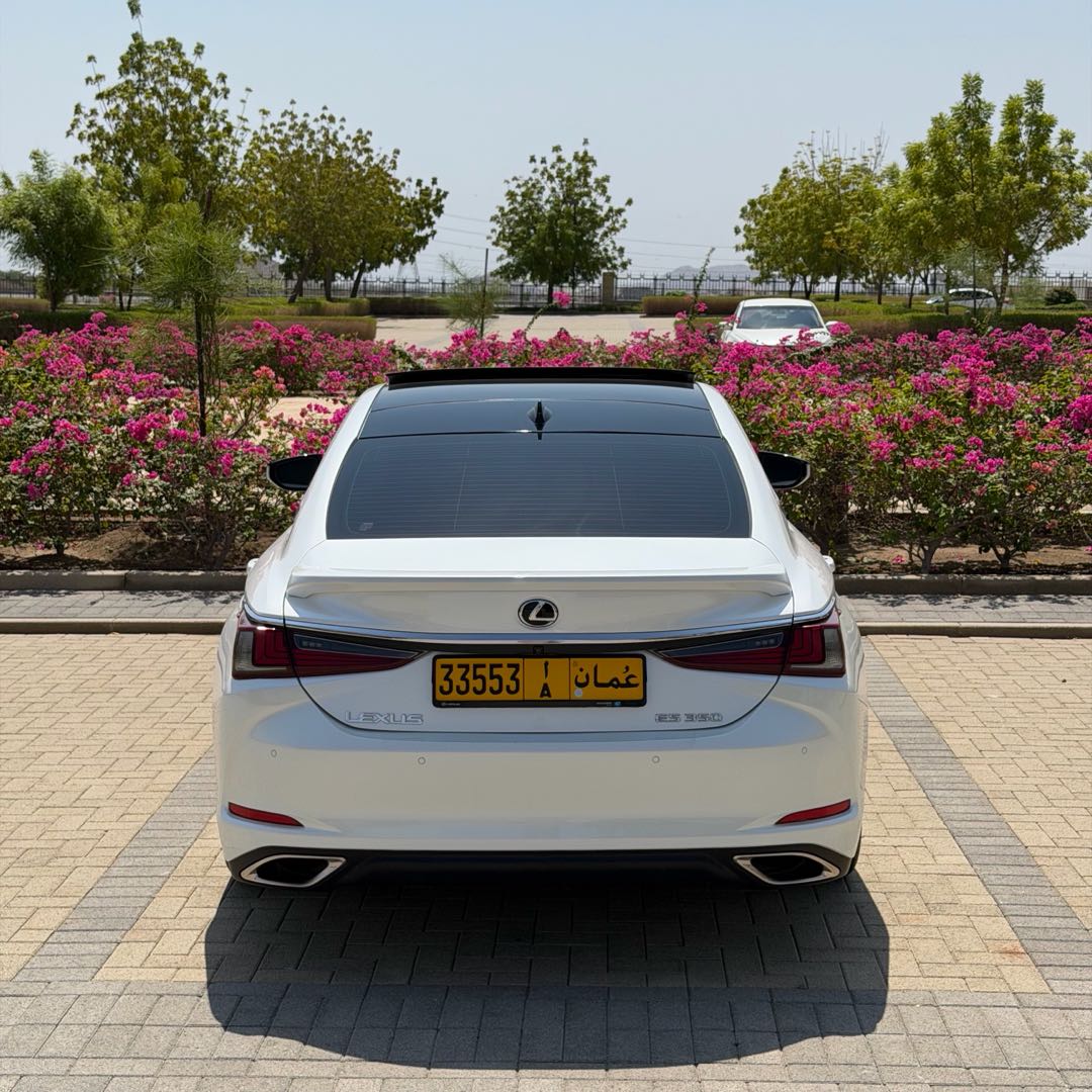 Car Image 2019 LEXUS ES Luxury