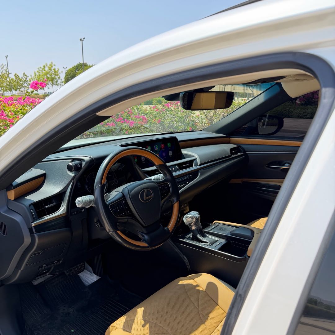 Car Image 2019 LEXUS ES Luxury