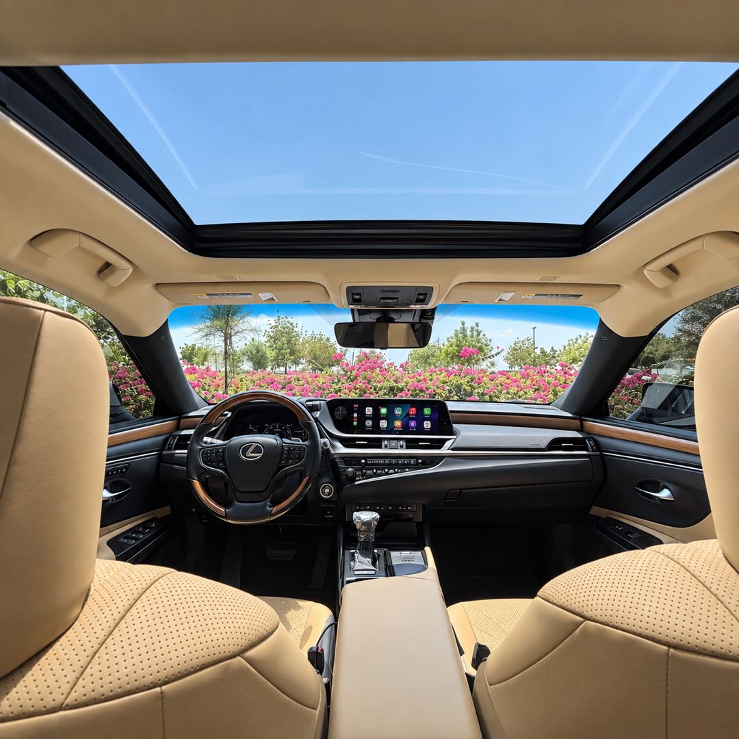 Car Image 2019 LEXUS ES Luxury