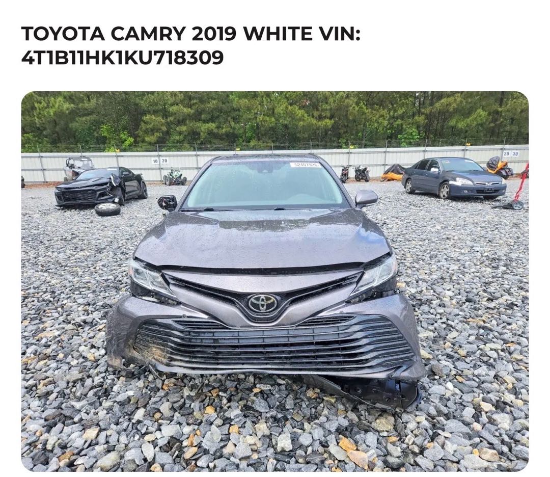 Car Image 2019 TOYOTA CAMRY LE