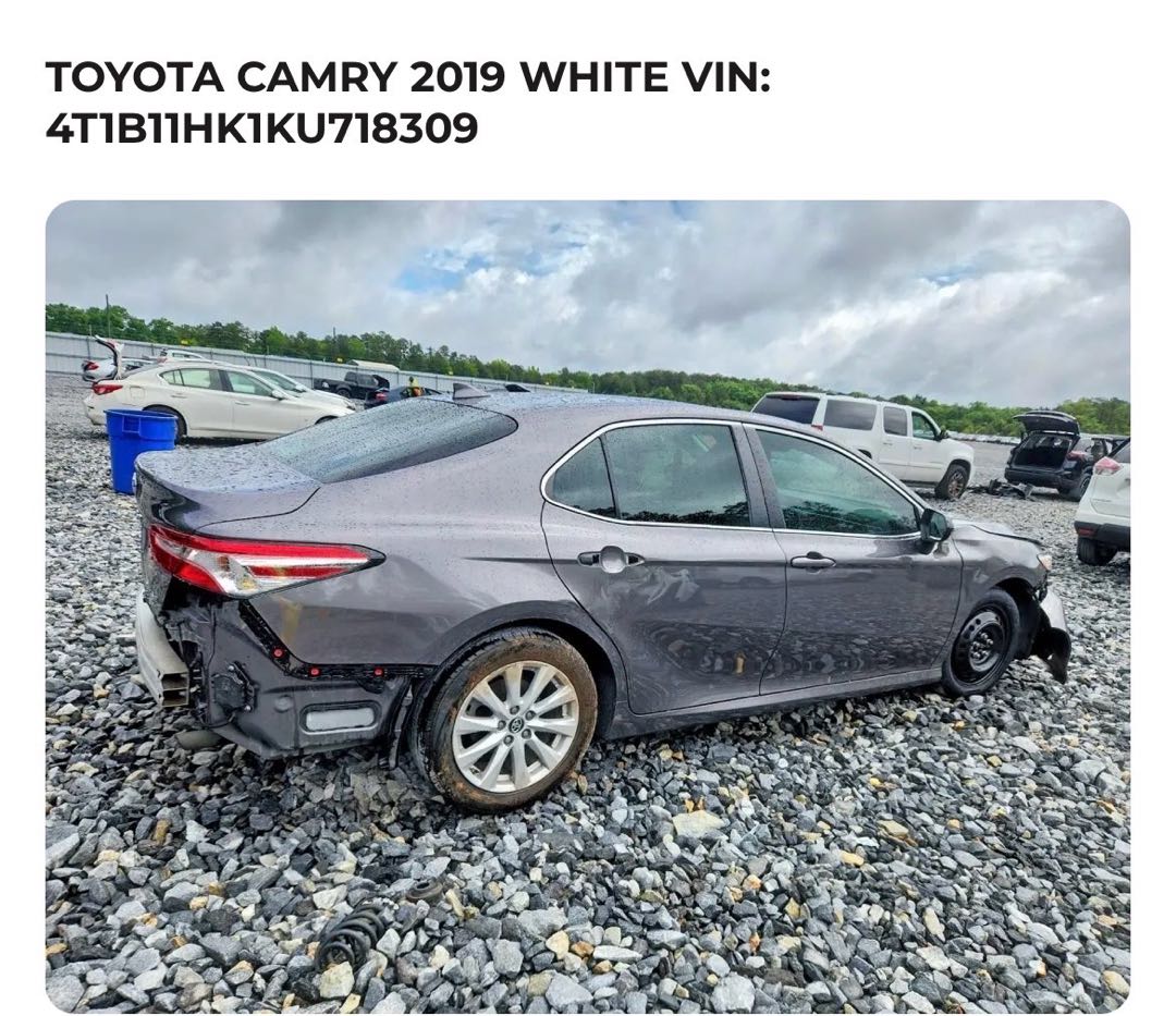 Car Image 2019 TOYOTA CAMRY LE