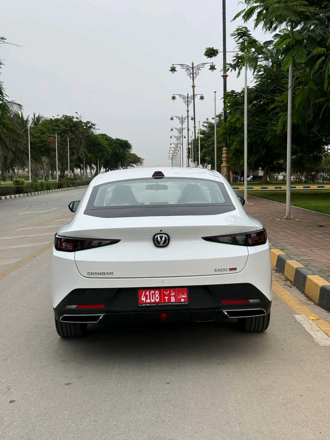 تشانجان EADO 2027