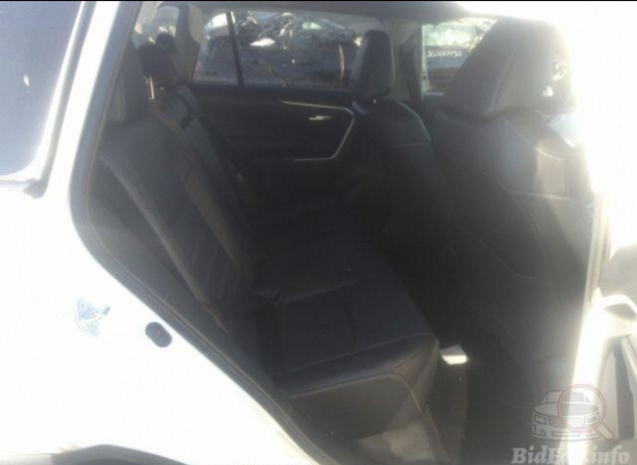 Car Image 2019 TOYOTA RAV4 XLE