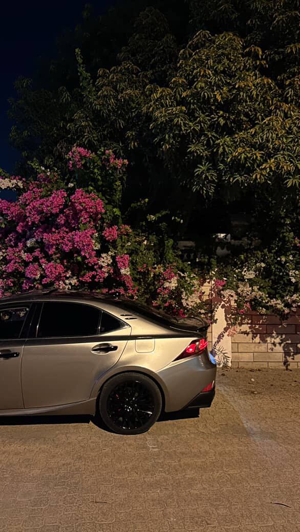 Car Image 2015 LEXUS IS 250