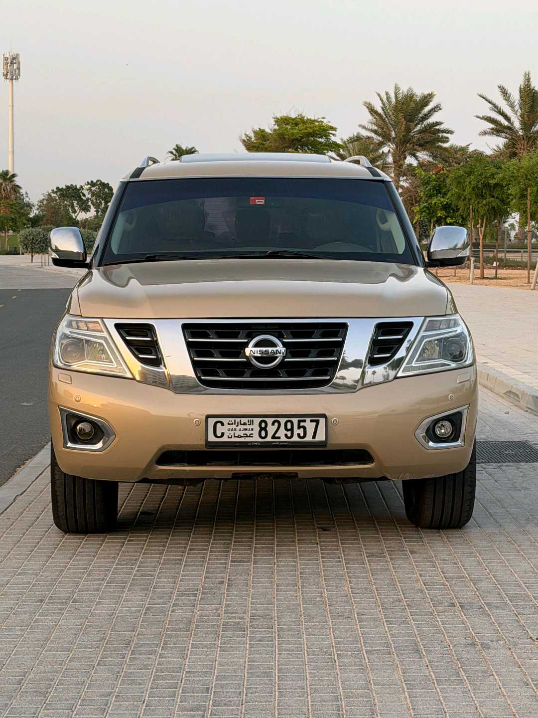 Car Image 2014 NISSAN PATROL LE