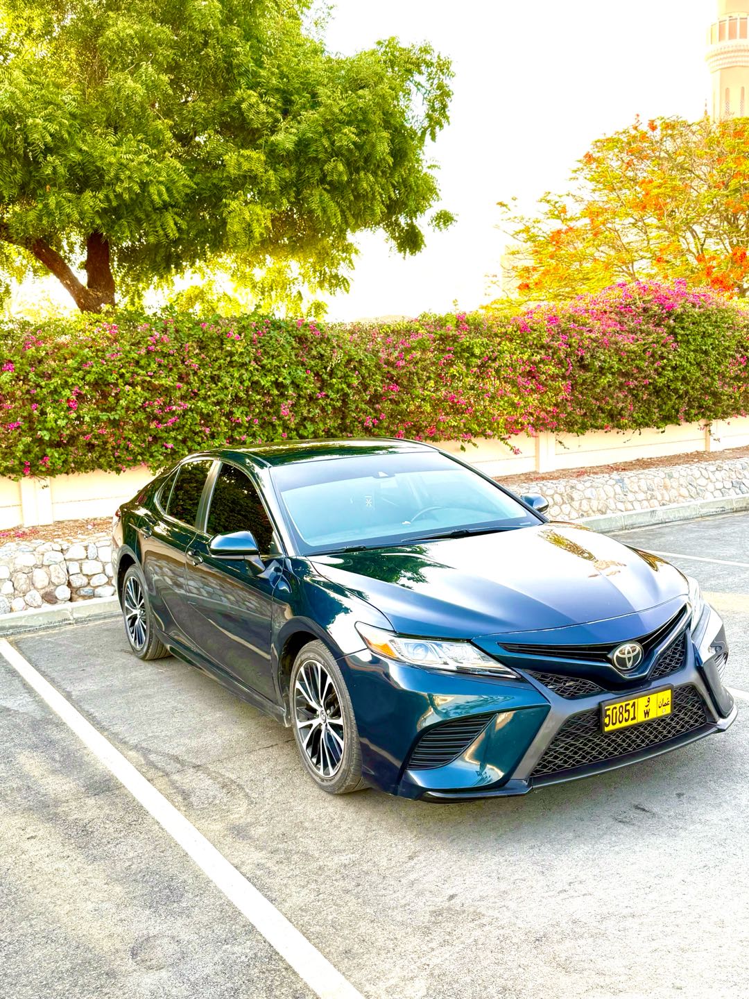 Car Image 2019 TOYOTA CAMRY SE