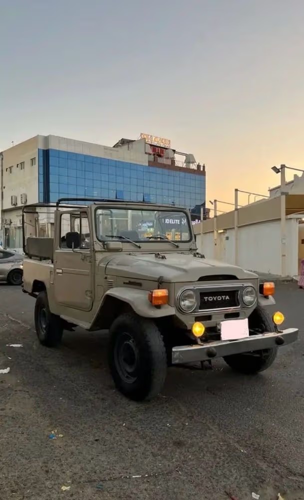 Car Image 1976 TOYOTA FJ CRUISER 