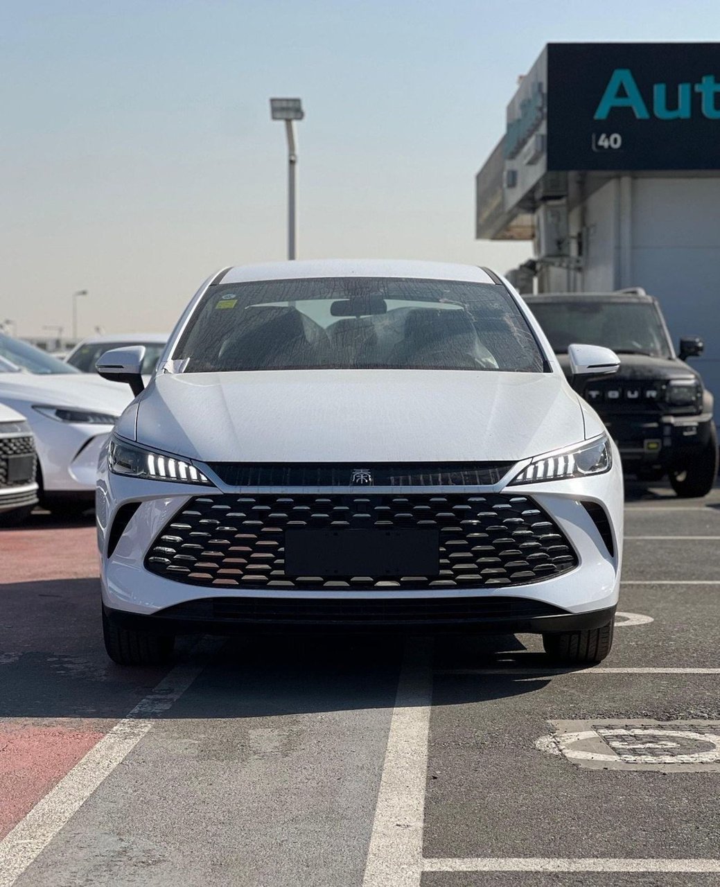 BYD تشين 2025