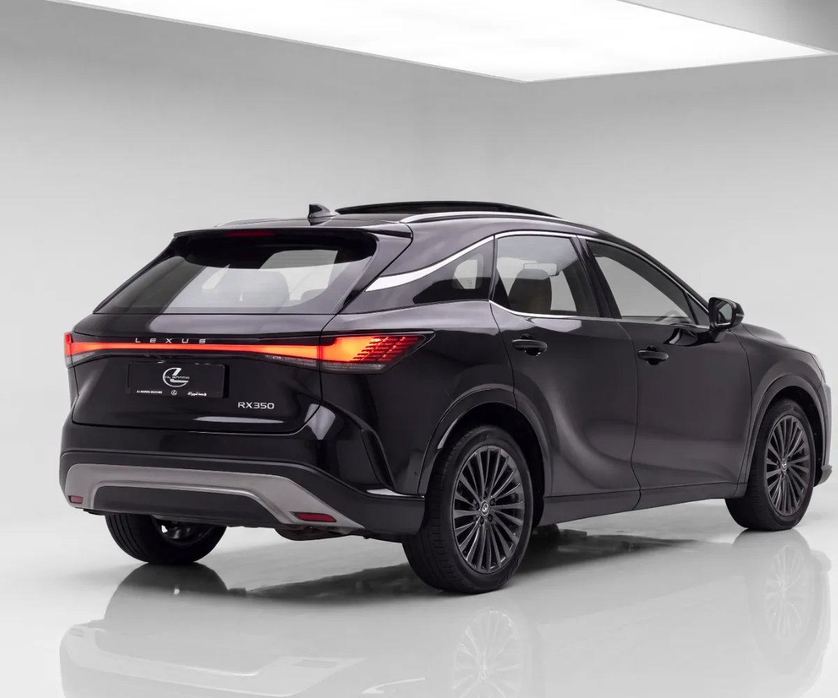 Car Image 2024 LEXUS RX 