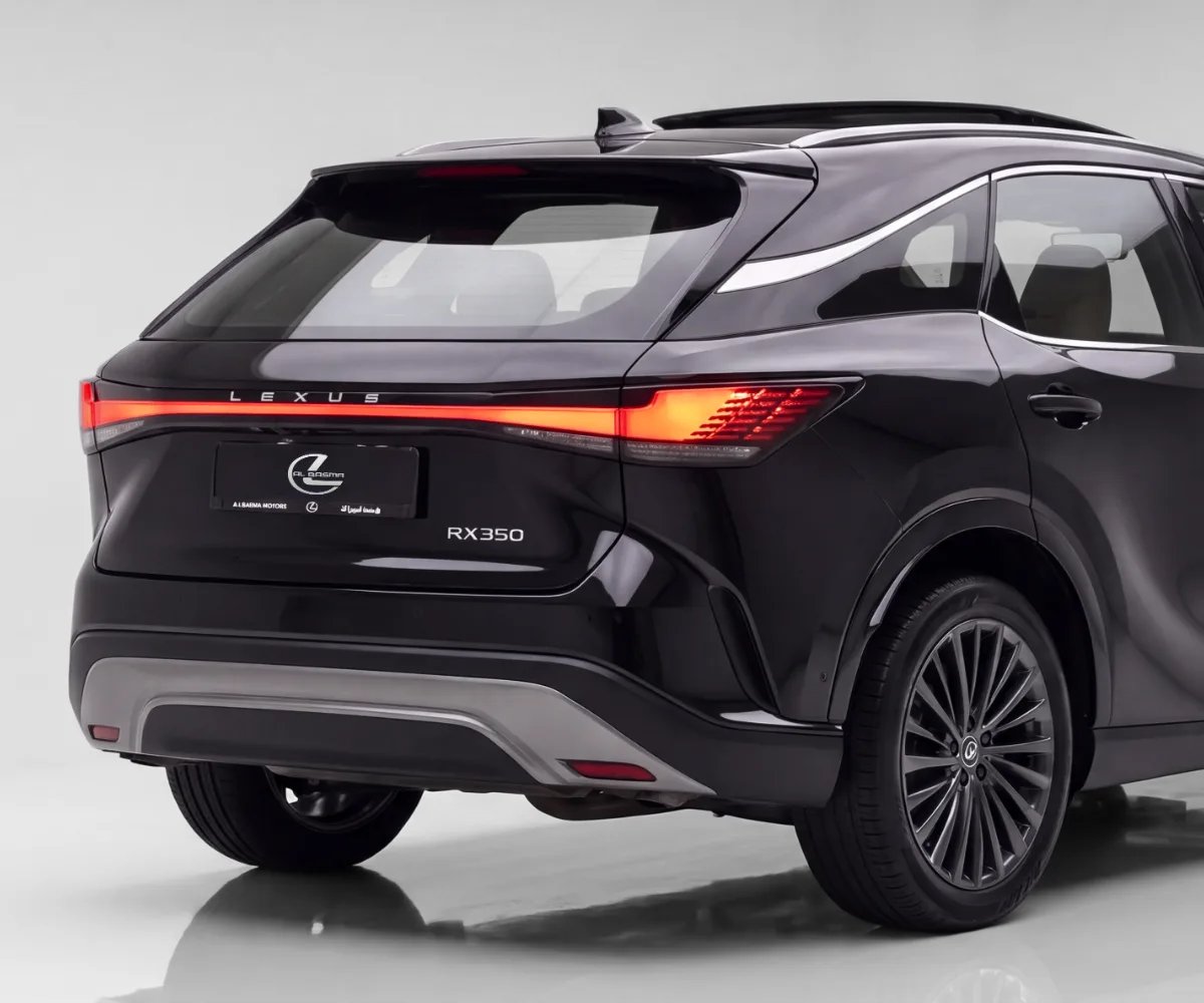 Car Image 2024 LEXUS RX 