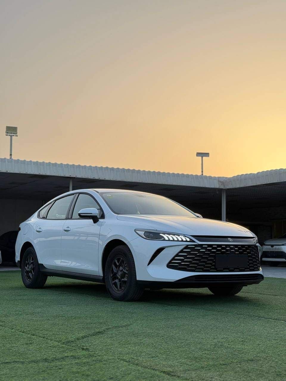 BYD تشين 2025