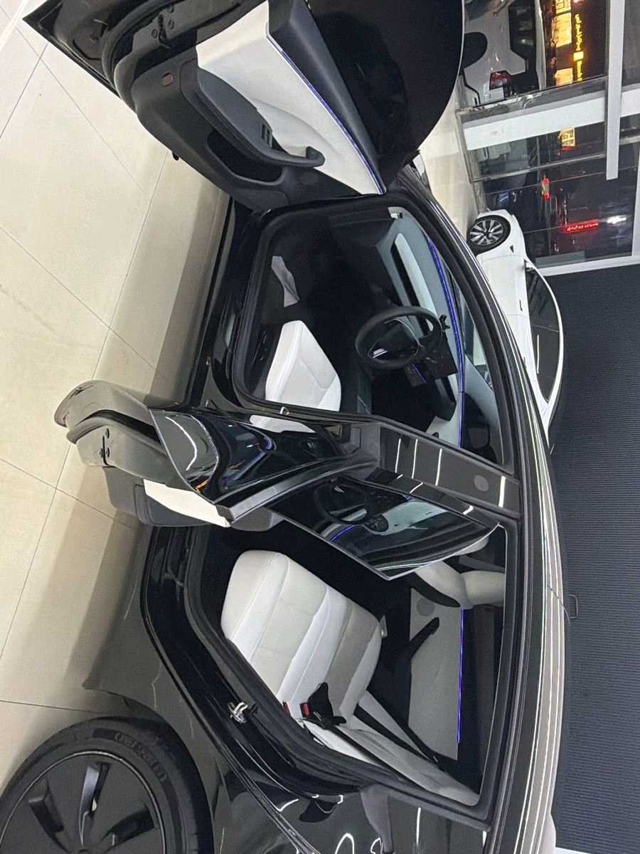 Car Image 2024 TESLA Model 3 