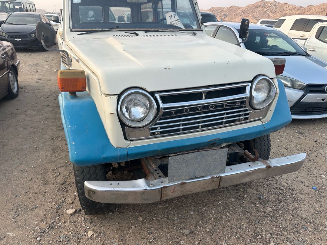 Car Image 1979 TOYOTA LAND CRUISER LX