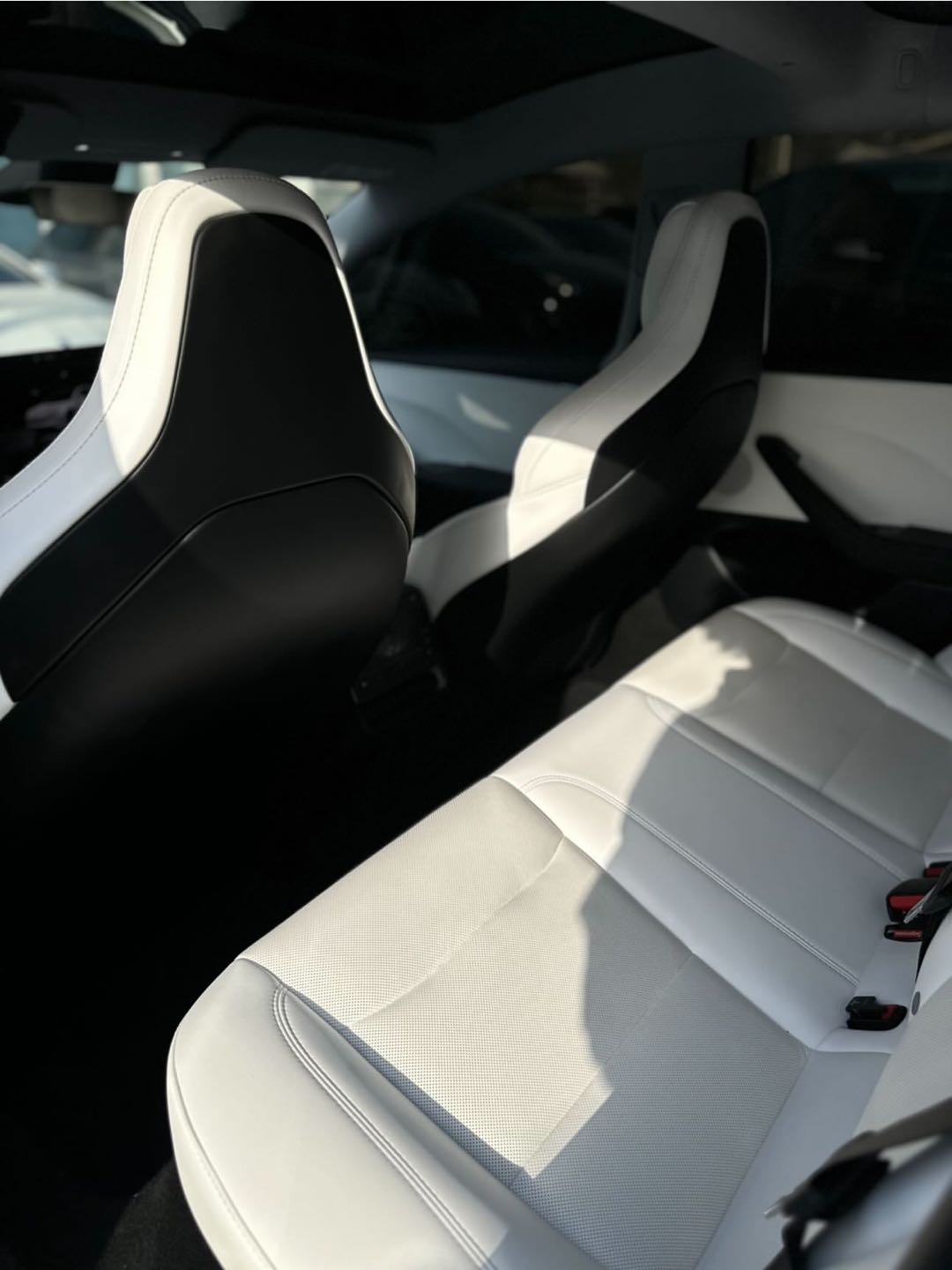 Car Image 2024 TESLA Model 3 