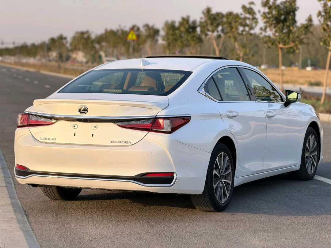 Car Image 2023 LEXUS ES 300