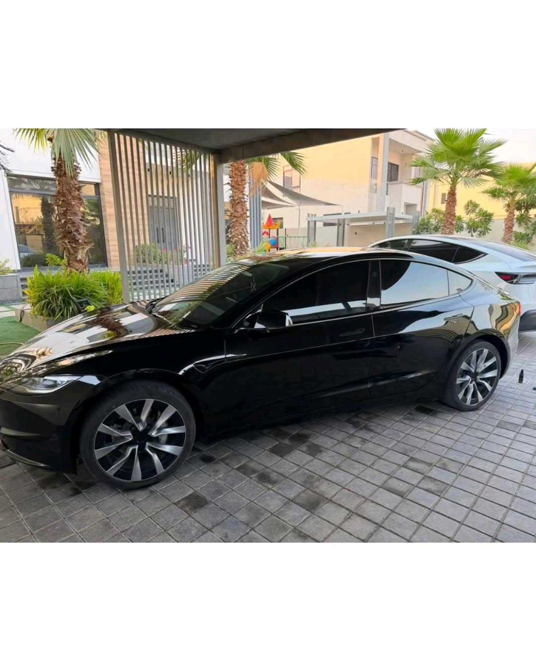 Car Image 2024 TESLA Model 3 