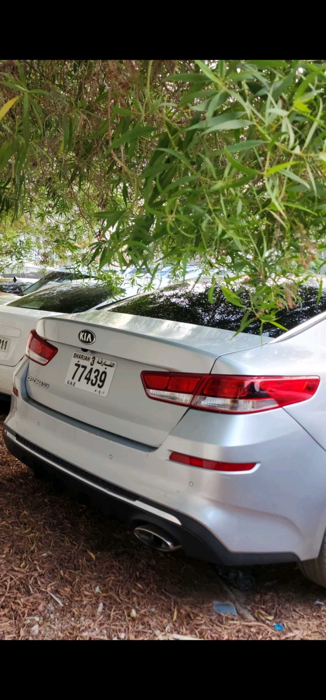 KIA OPTIMA 2020