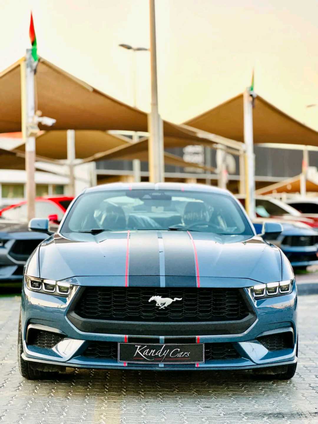Car Image 2024 FORD MUSTANG Ecoboost