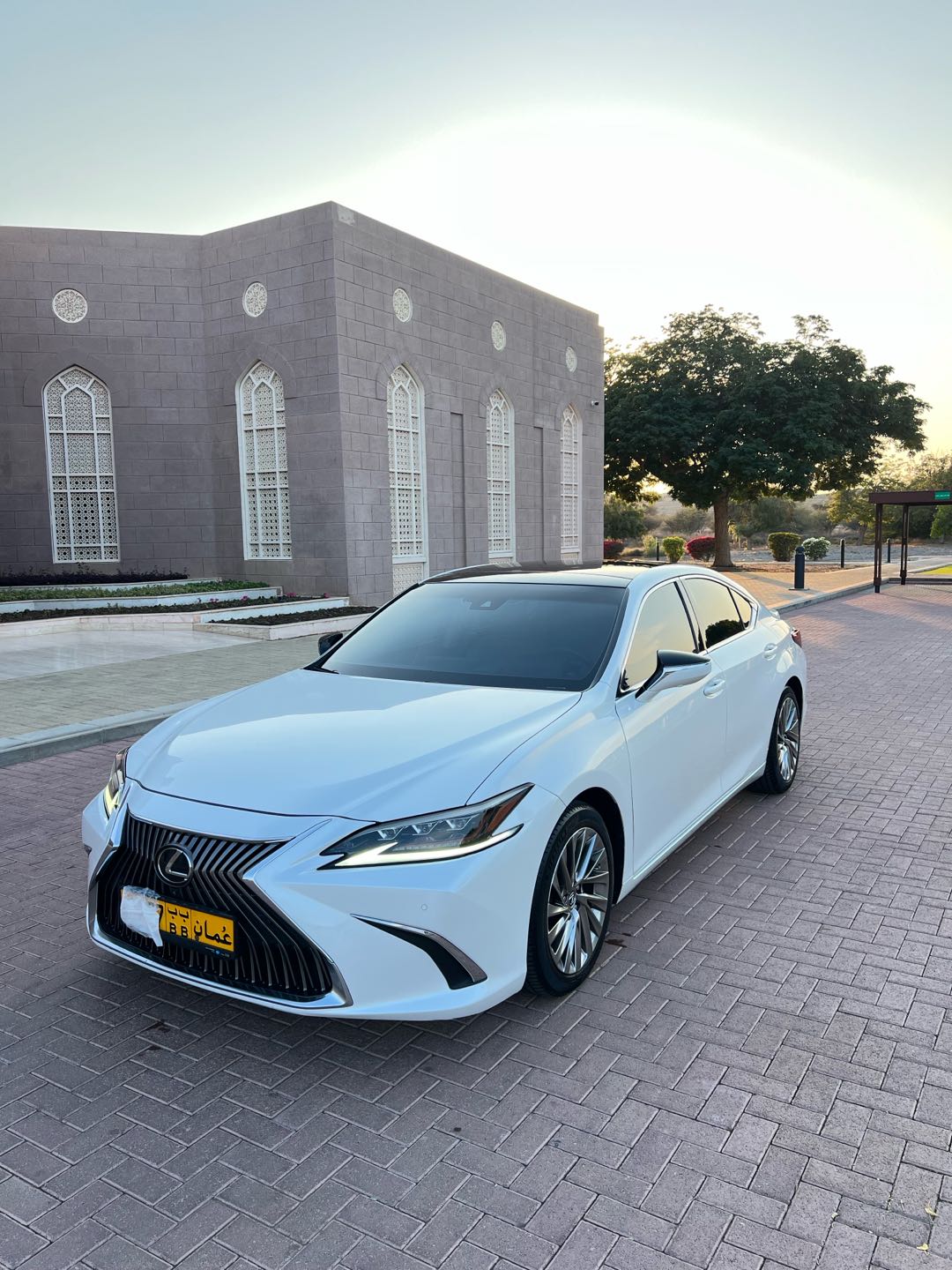 Car Image 2019 LEXUS ES 350