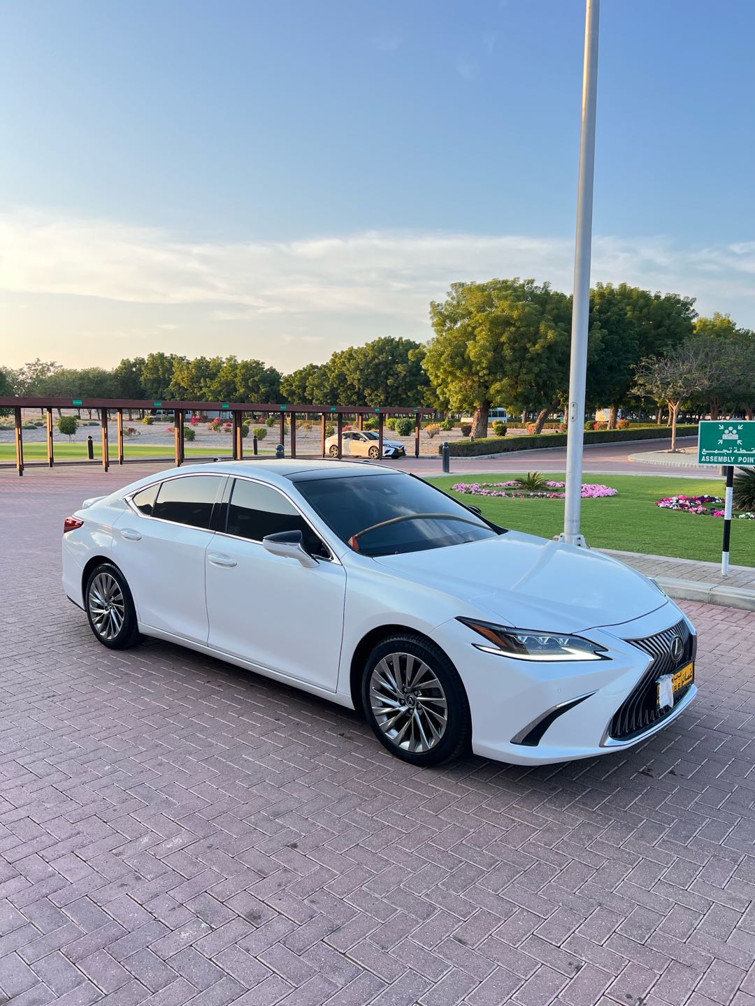 Car Image 2019 LEXUS ES 350