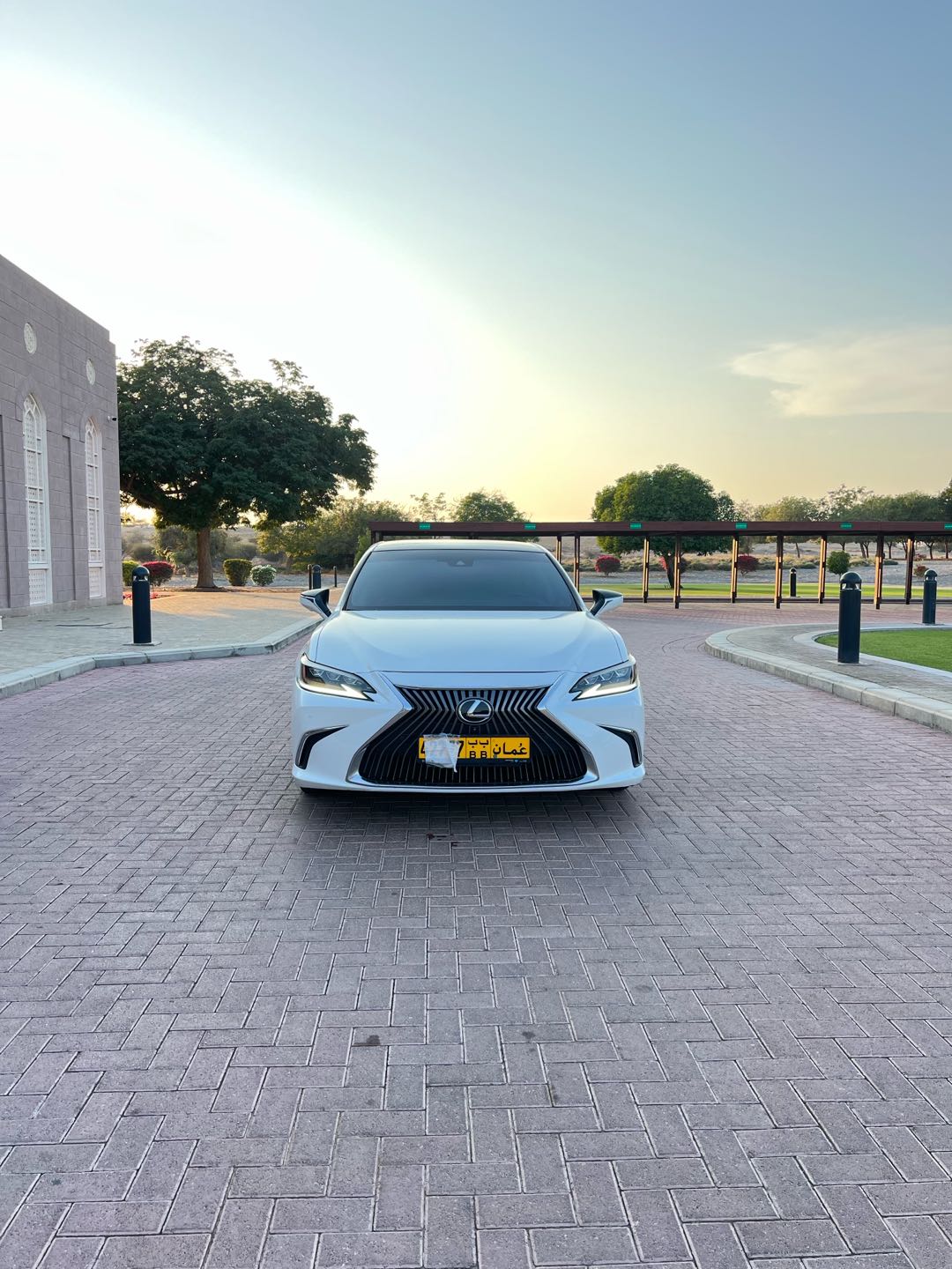 Car Image 2019 LEXUS ES 350