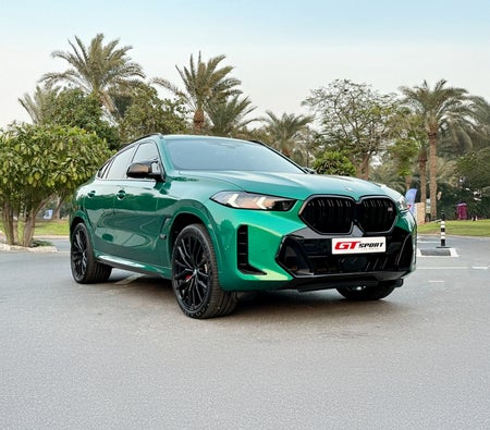 BMW X6 2024