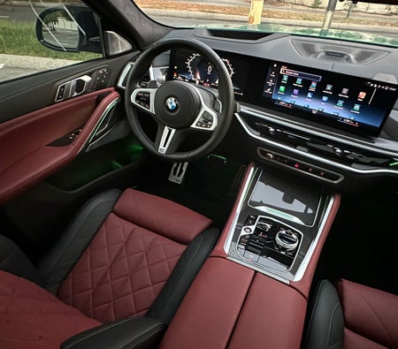 BMW X6 2024