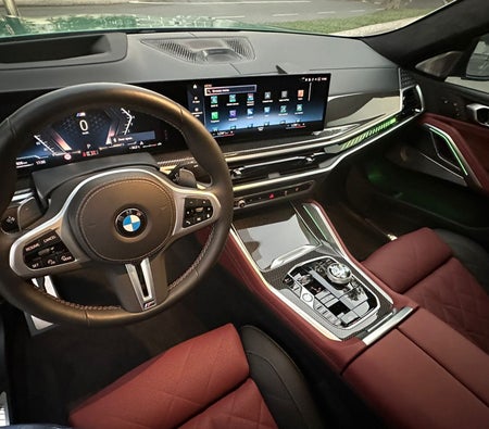 BMW X6 2024
