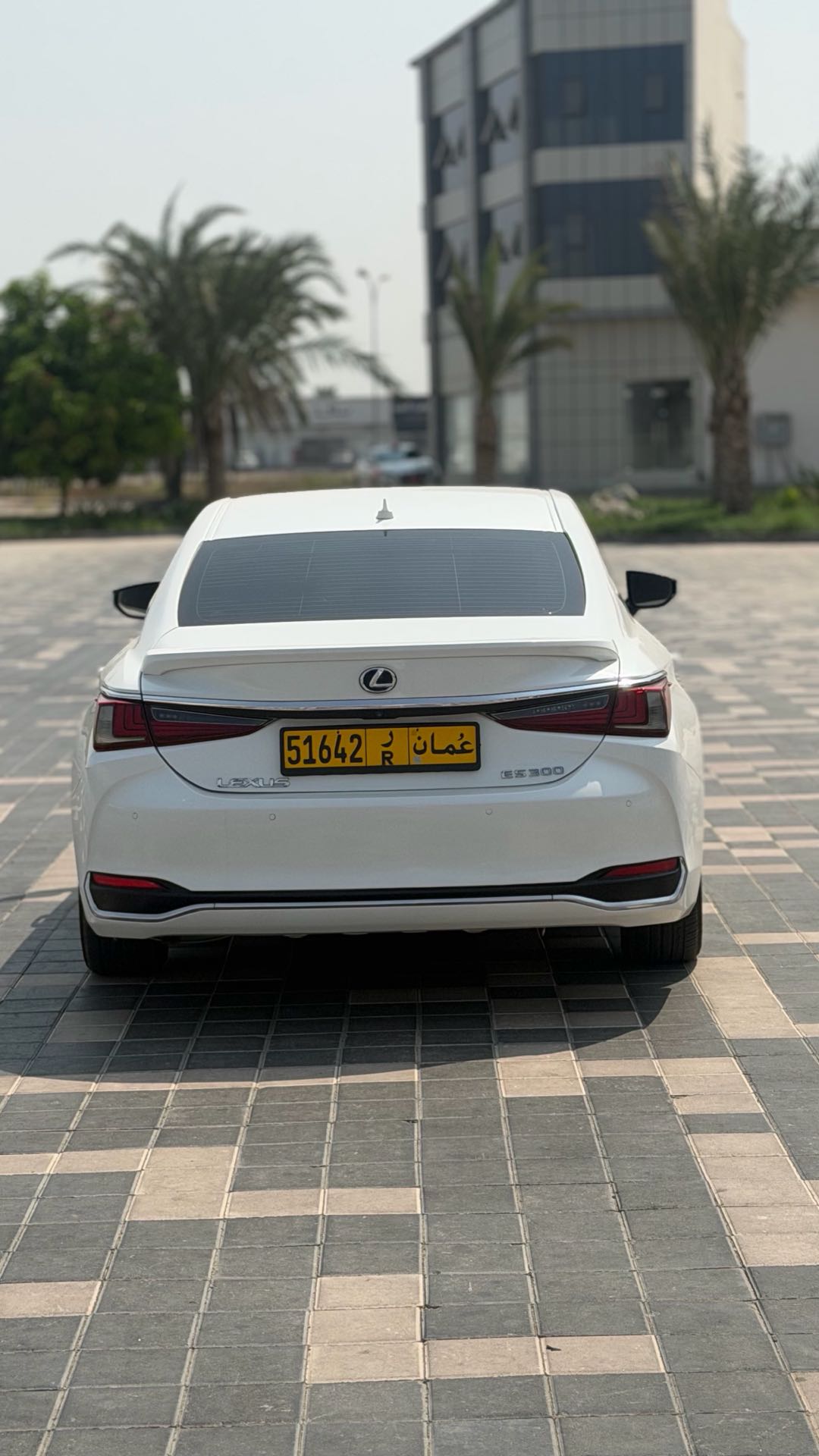 Car Image 2020 LEXUS ES 300