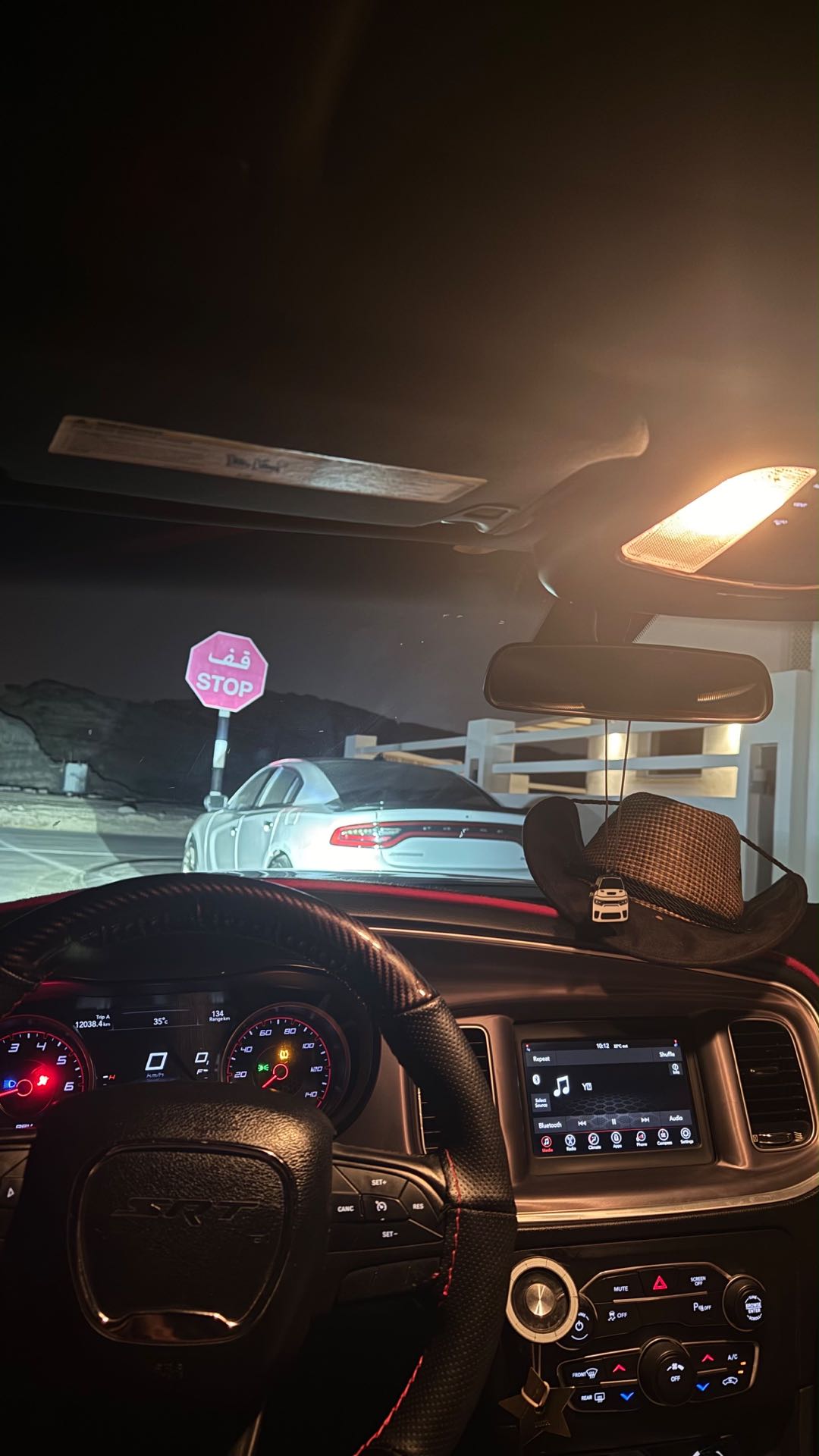 Car Image 2019 DODGE CHARGER SXT