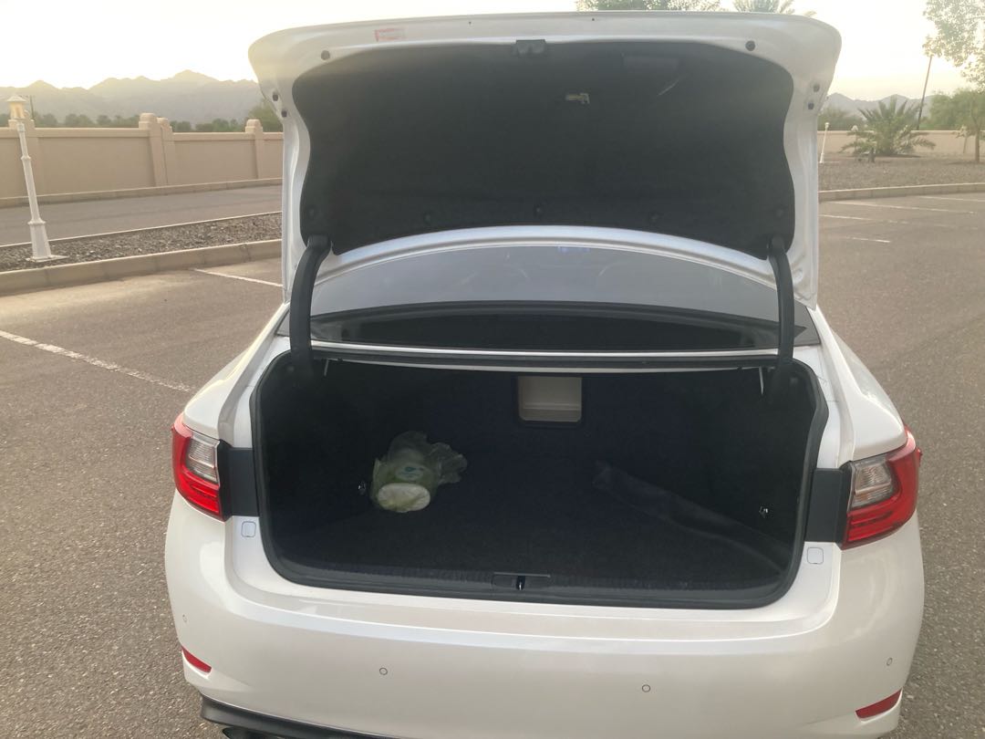 Car Image 2018 LEXUS ES 