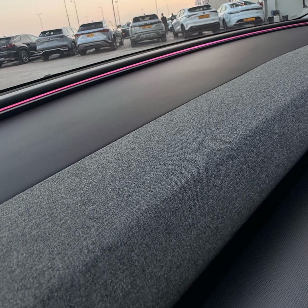 Car Image 2025 TESLA Model 3 Long Range