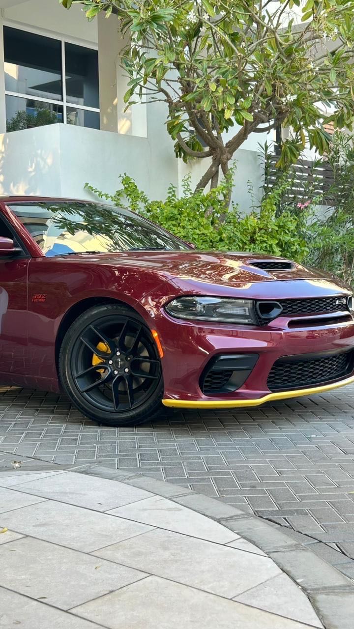 Car Image 2019 DODGE CHARGER SXT