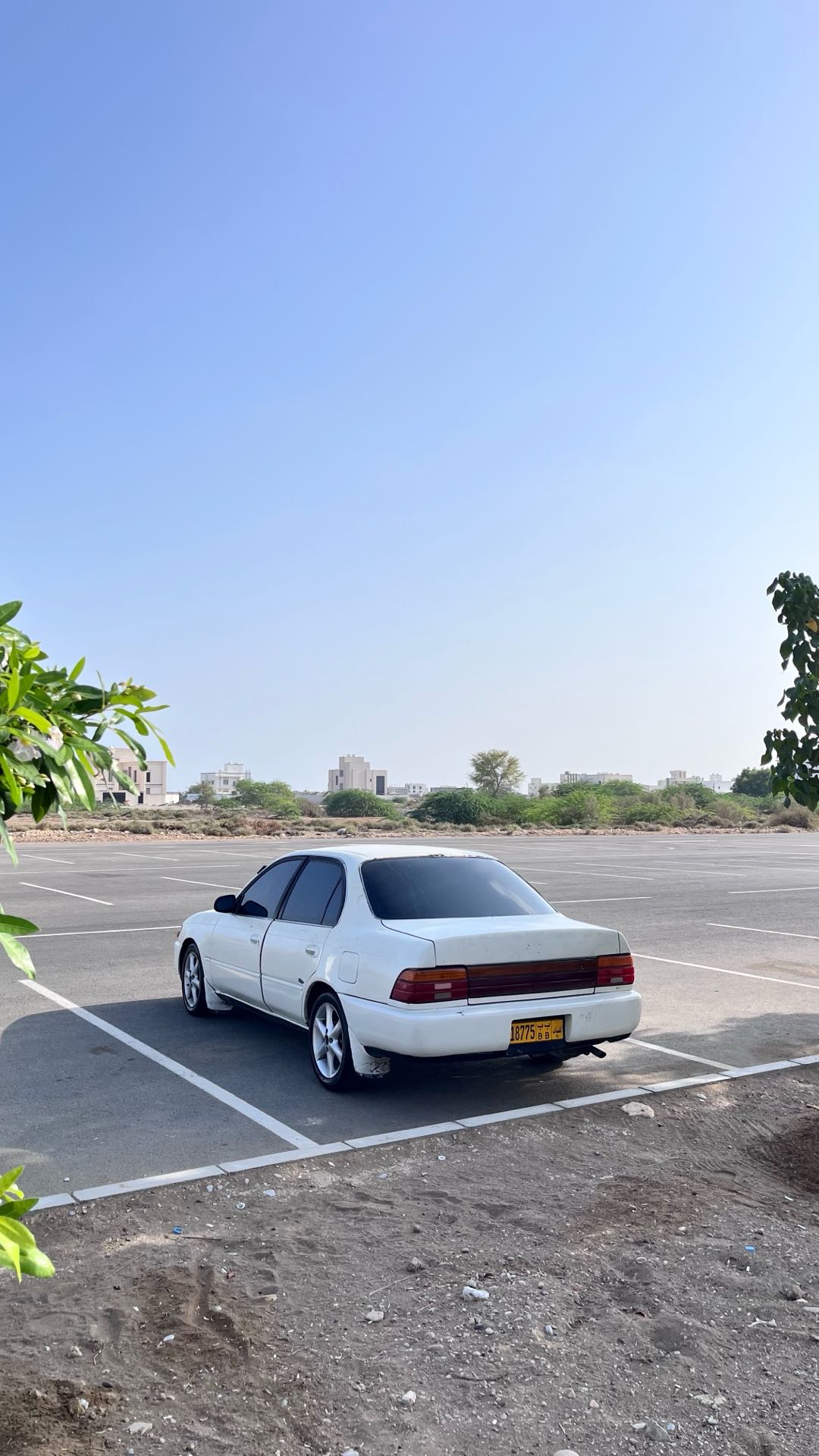 Car Image 1994 TOYOTA COROLLA GR