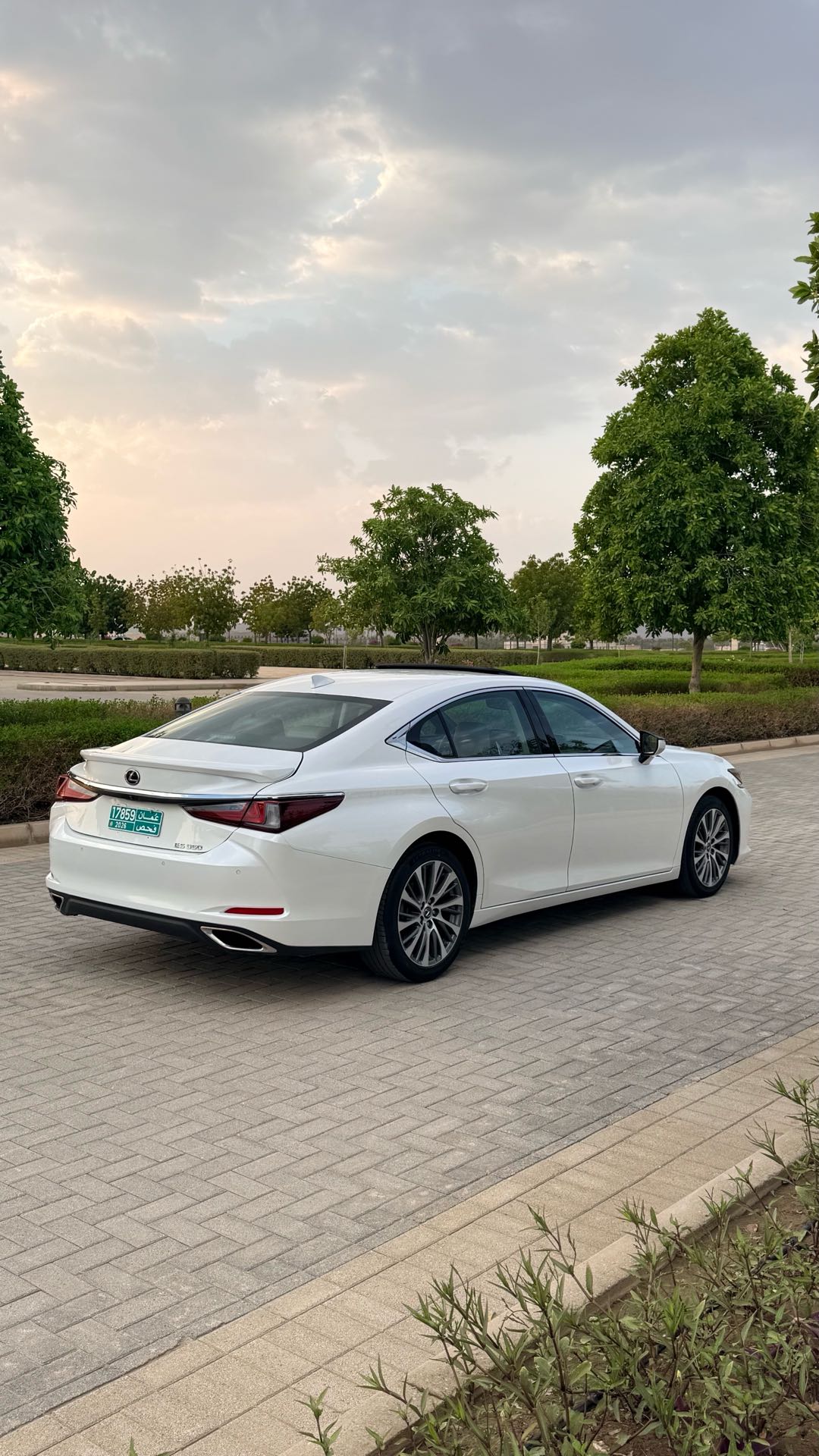 Car Image 2019 LEXUS ES 350