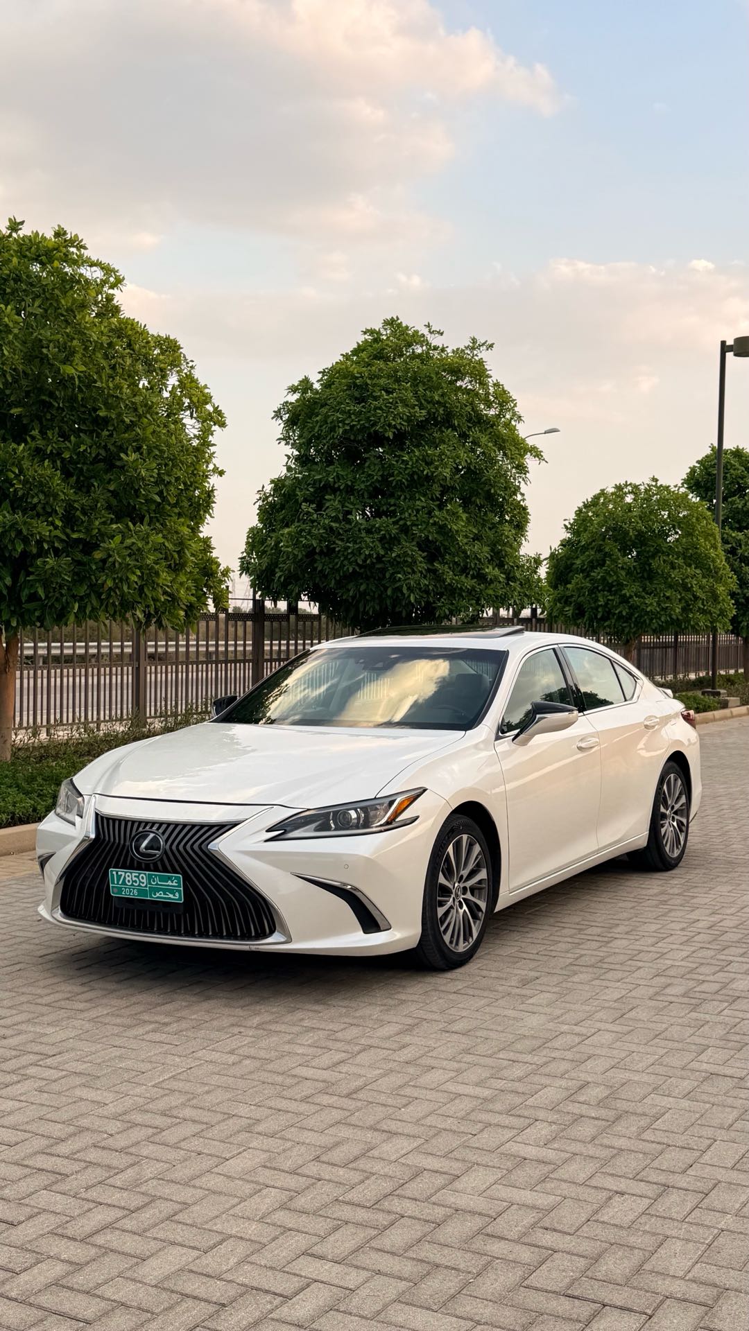 Car Image 2019 LEXUS ES 350