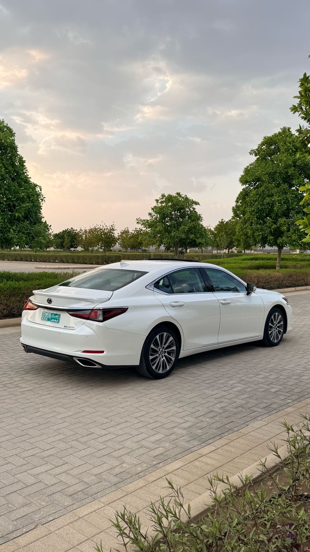 Car Image 2019 LEXUS ES 350