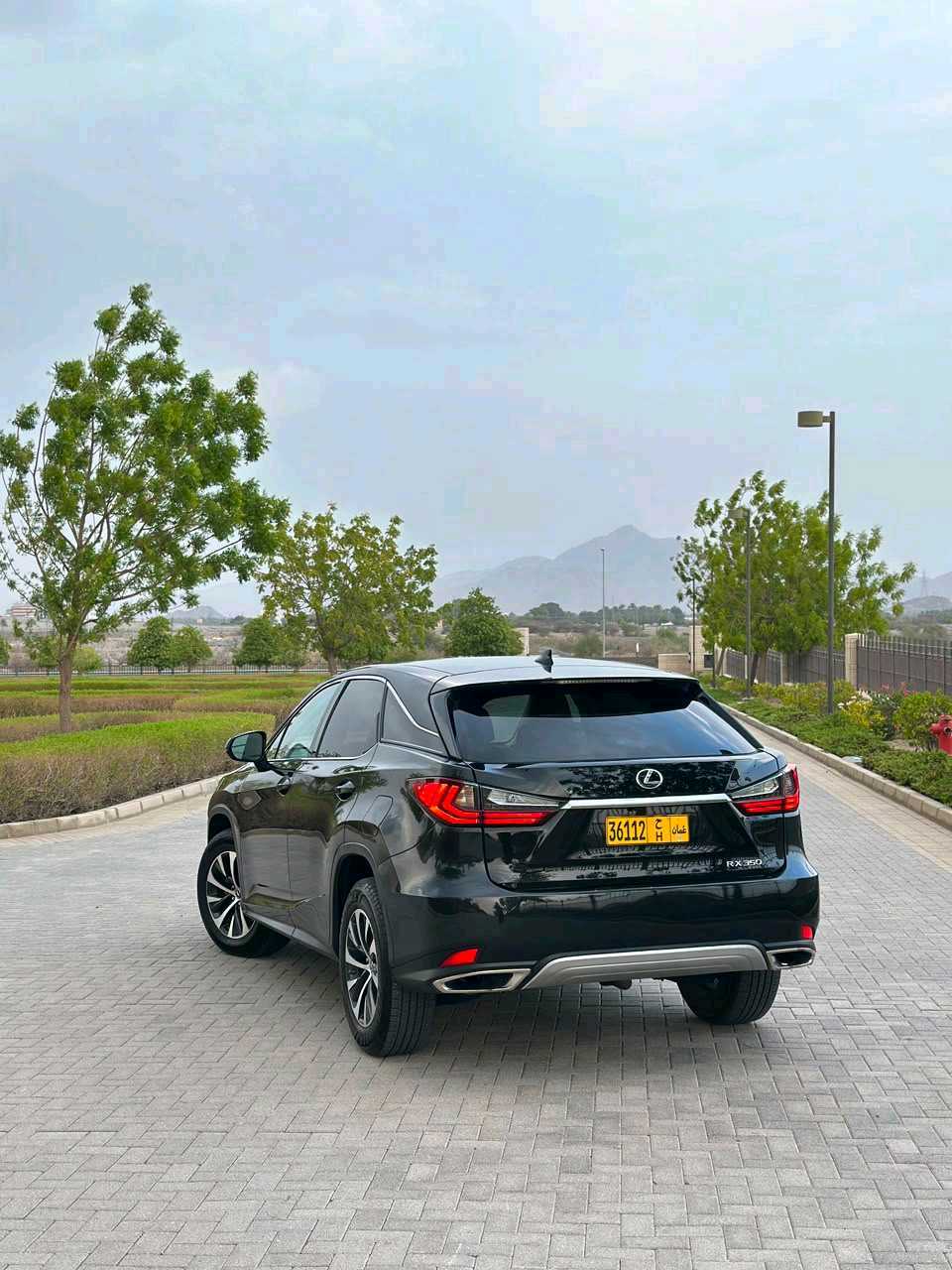 Car Image 2022 LEXUS RX 350