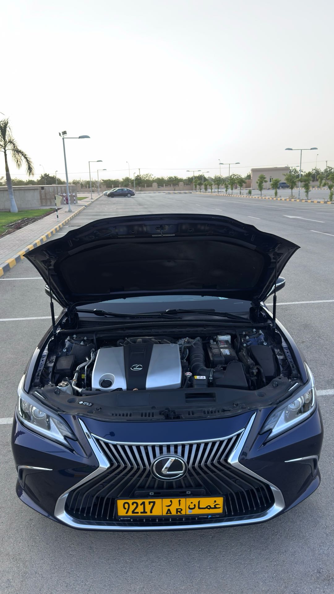 Car Image 2019 LEXUS ES 350