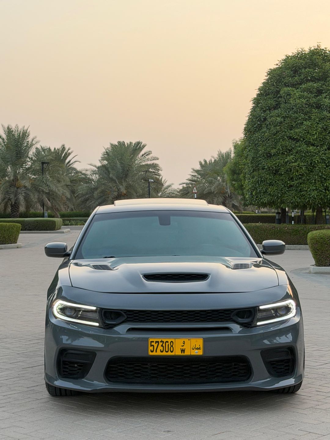 Car Image 2019 DODGE CHARGER SXT