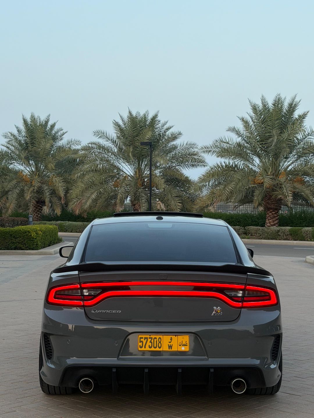 Car Image 2019 DODGE CHARGER SXT